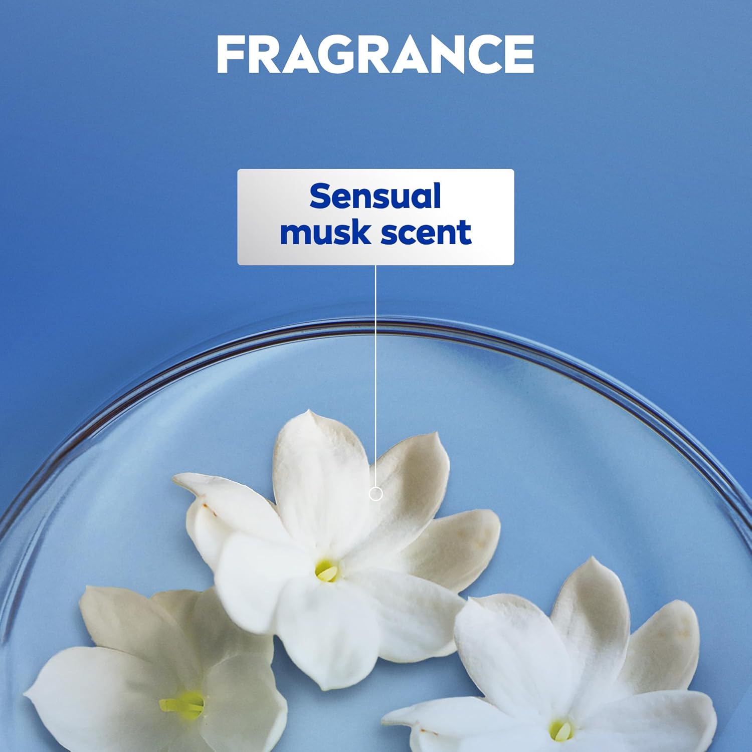 Nivea Sensual Musk Body Lotion Fragrance & Care for Normal to Dry Skin-400ml thumbnail 6