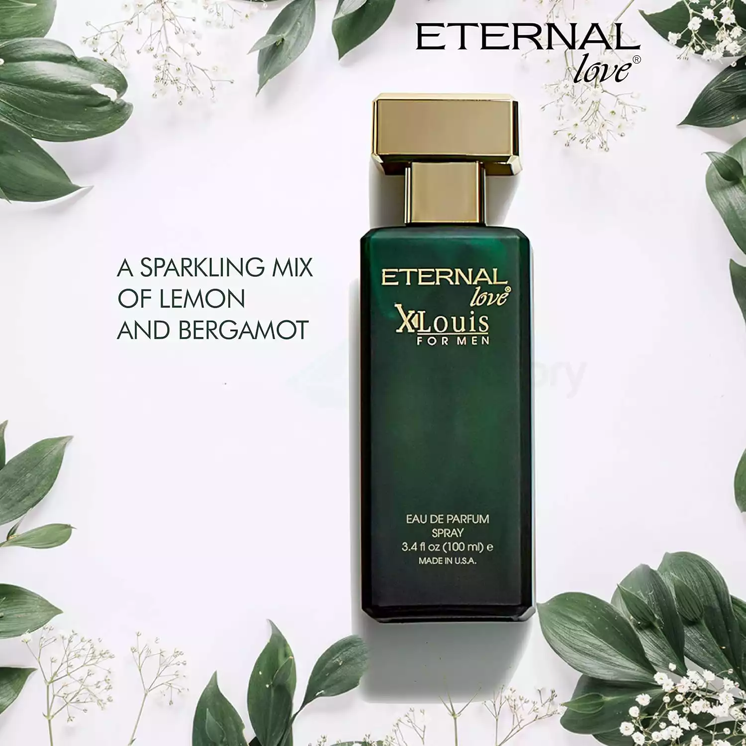 Eternal Love Xlouis For Men Eau De Perfume Spray-100ml thumbnail 4