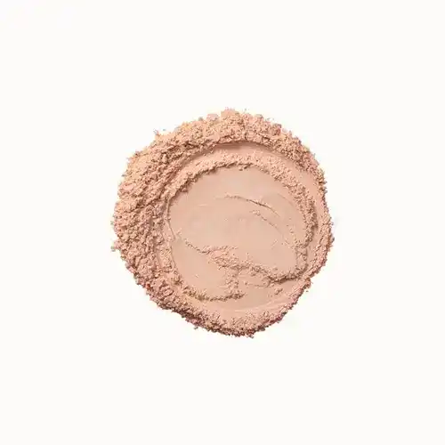 Color Max Photo Chromatic Pressed Powder-03 Soft Beige thumbnail 4