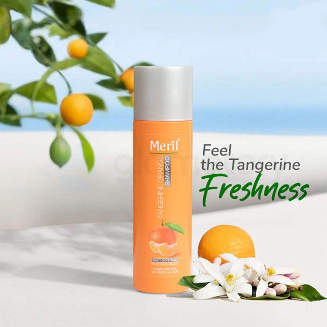Meril Tangerine Orange Shampoo Daily Moisture-250ml