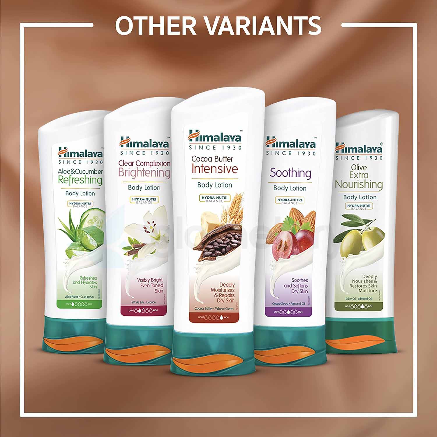 Himalaya Cocoa Butter Wheat Germ Intensive Body Lotion-200ml thumbnail 5