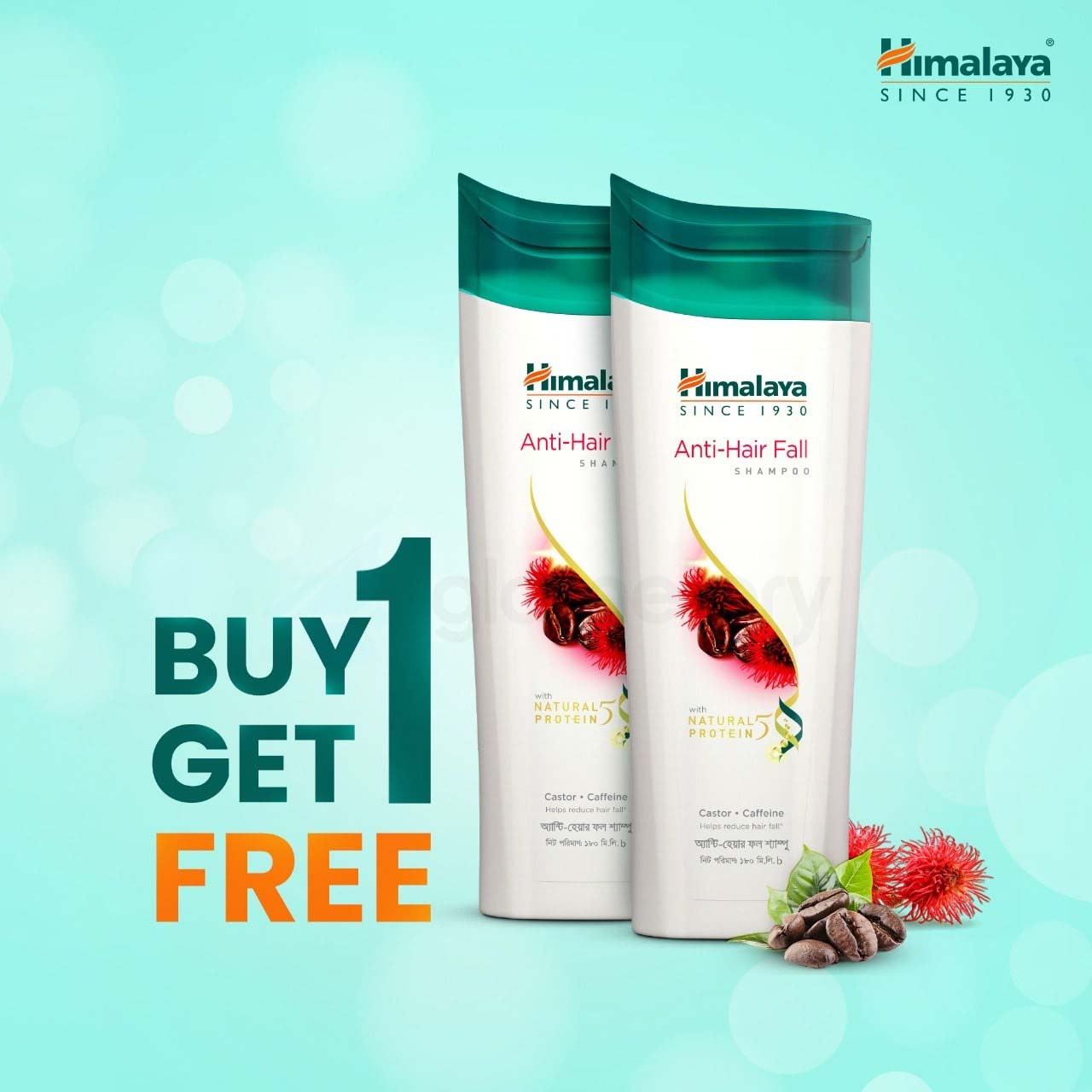 Himalaya Anti Hair Fall Shampoo with Castor & Caffeine 180ml-Buy 1 Get 1
