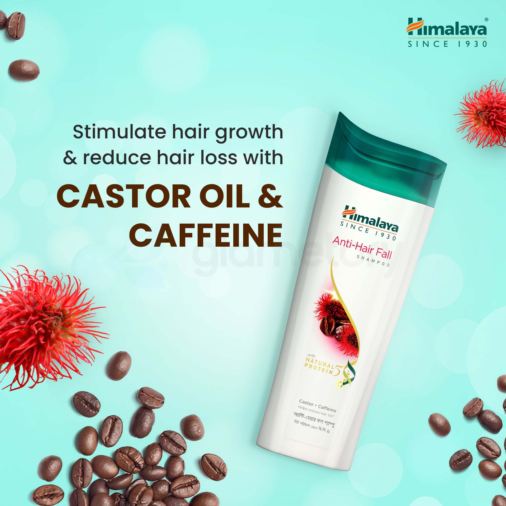 Himalaya Anti Hair Fall Shampoo with Castor & Caffeine 180ml-Buy 1 Get 1